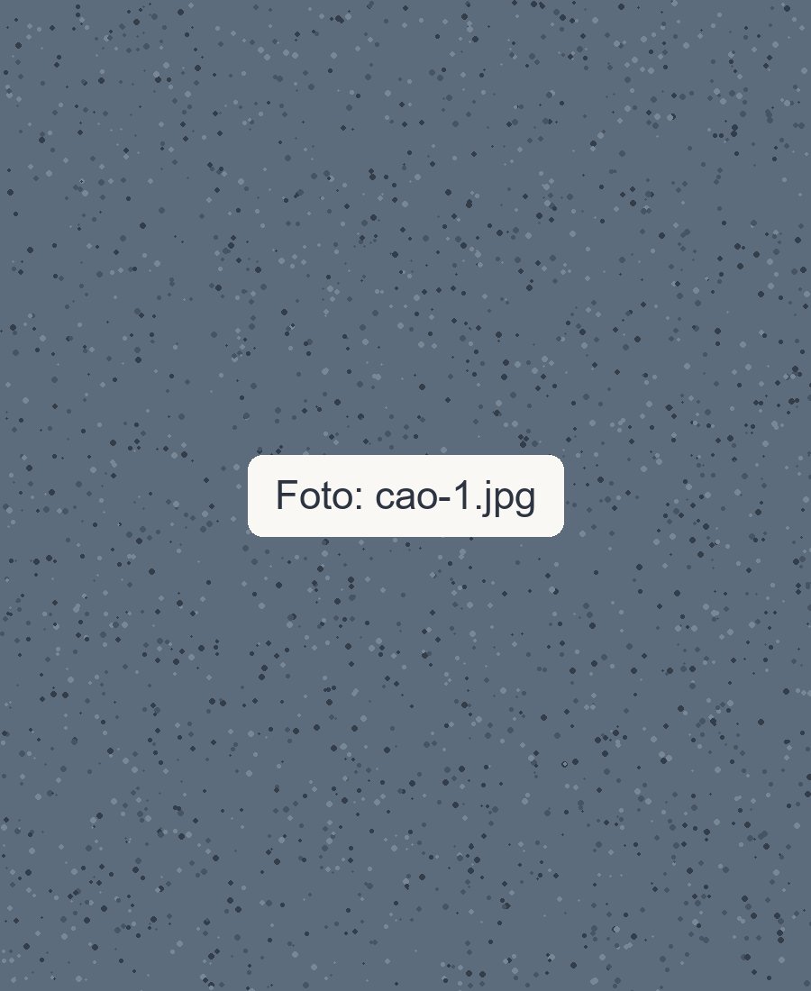 Nome do cão 1