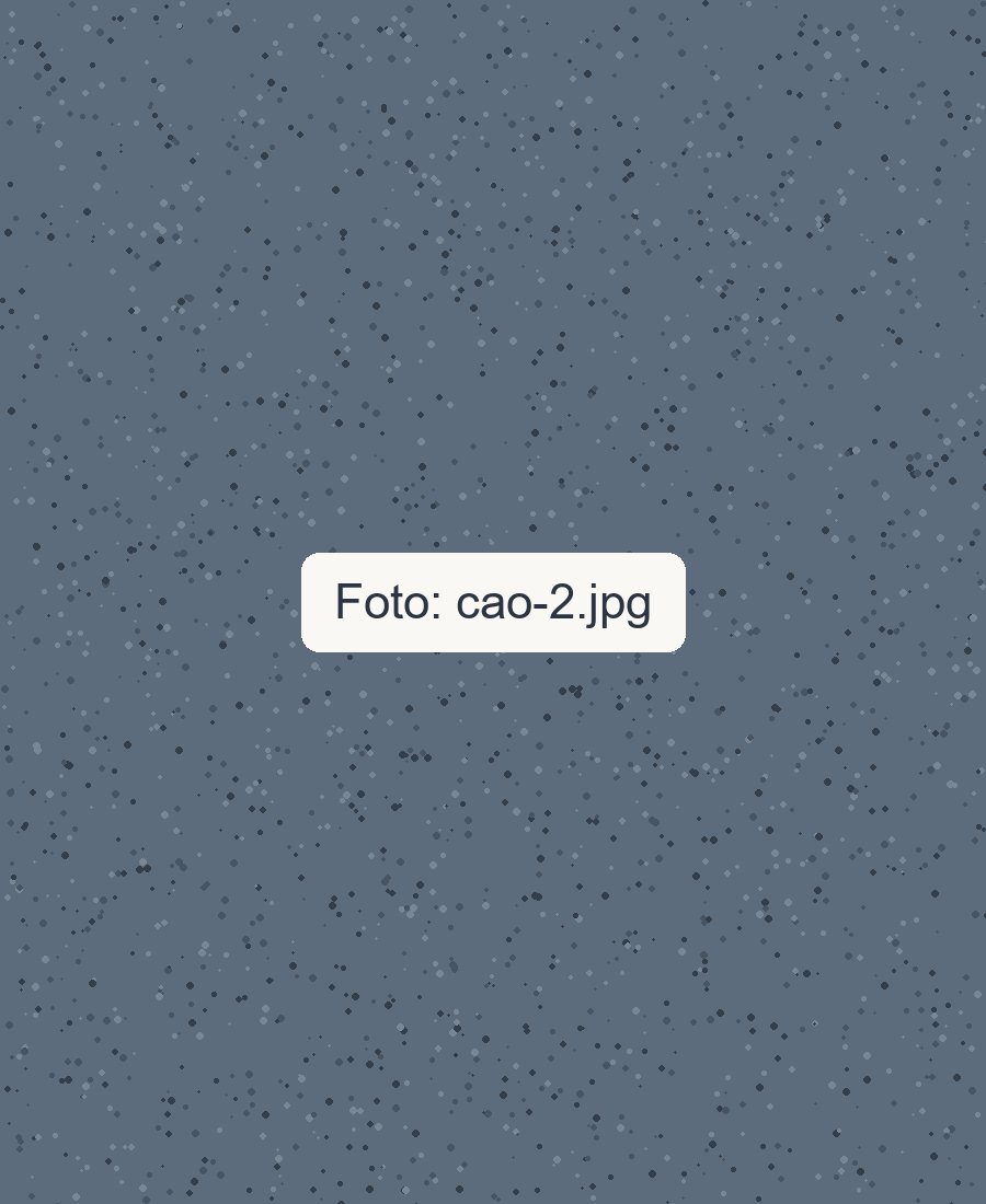 Nome do cão 2