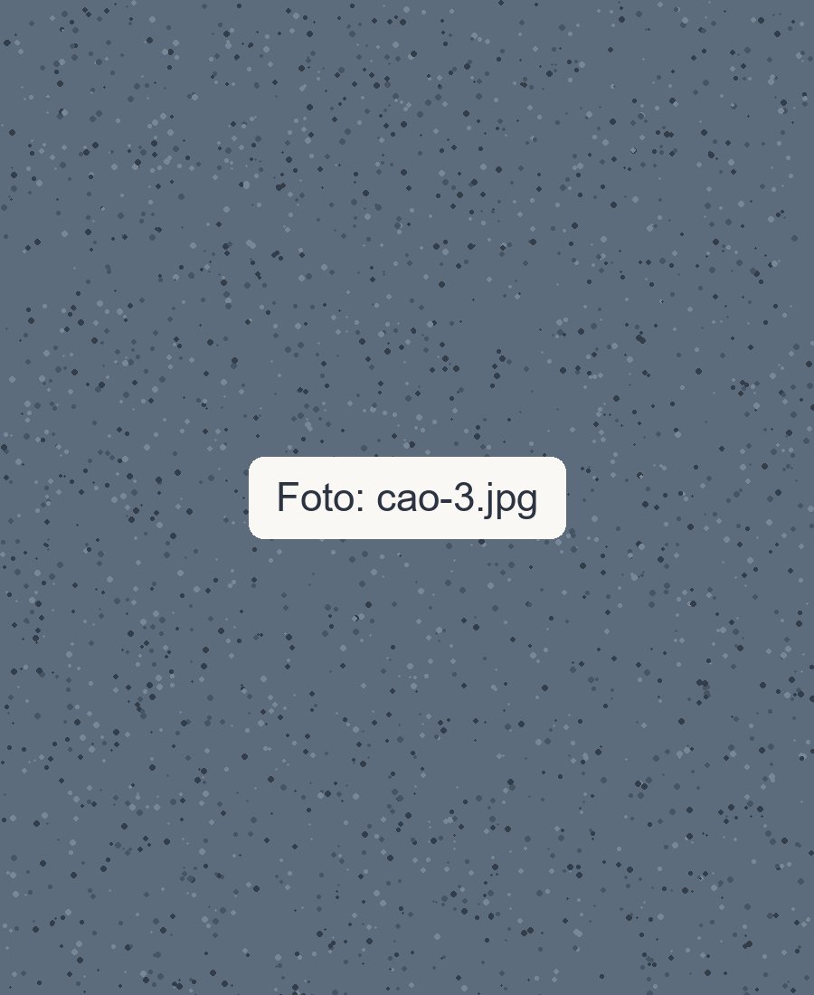 Nome do cão 3