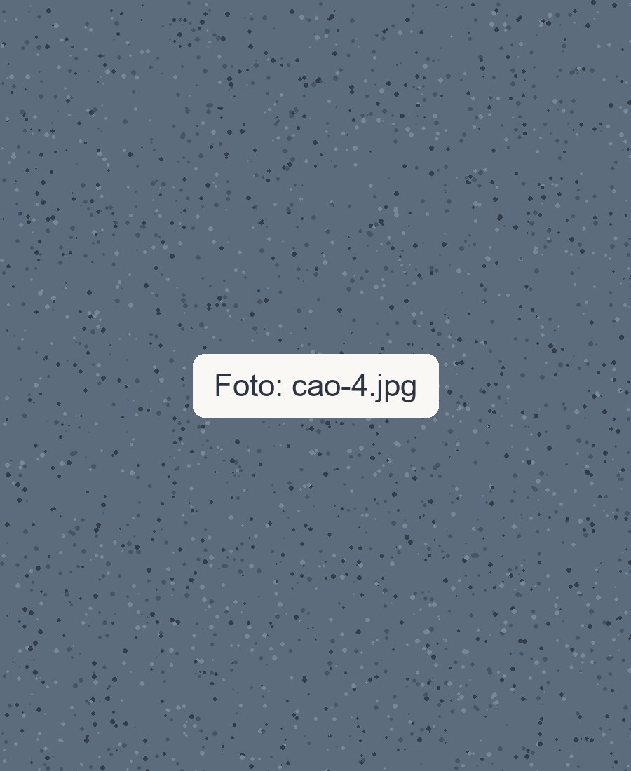 Nome do cão 4