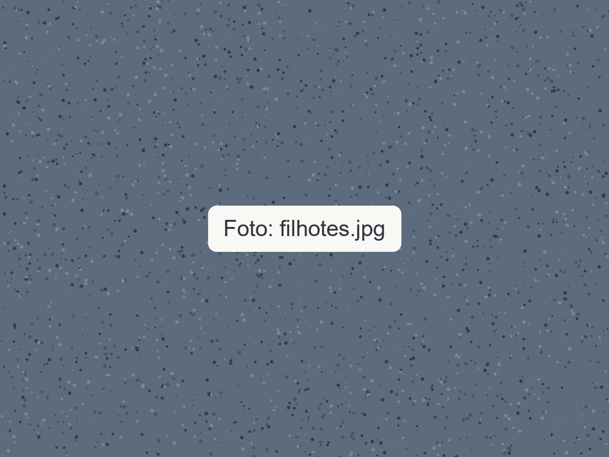 Filhotes